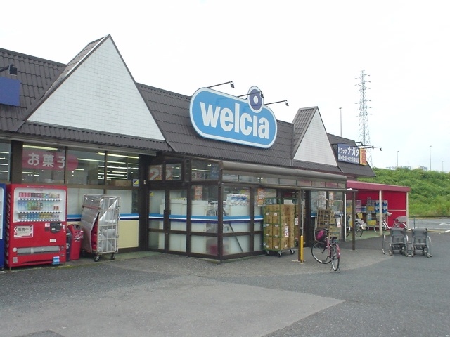 Dorakkusutoa. Drag Nagata Gyoda Mochida shop 560m until (drugstore)