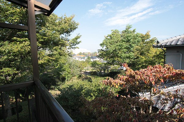Balcony. Neighbor herb garden of looks