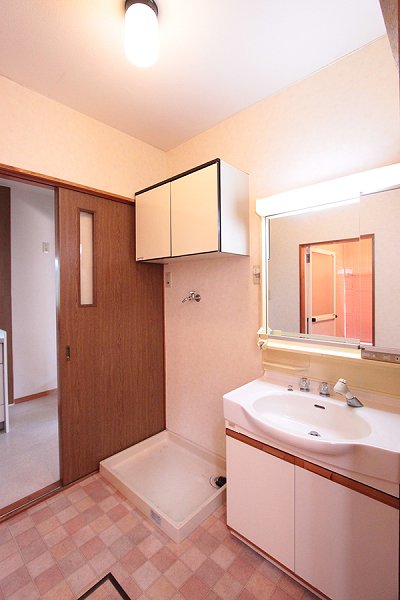 Washroom. Shampoo dresser