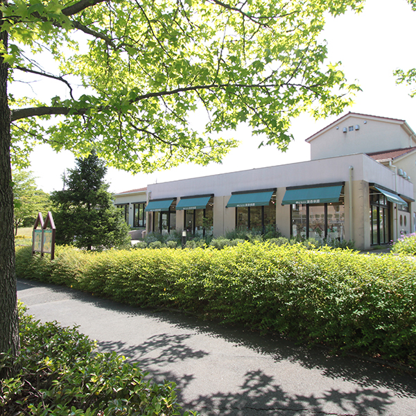 Shopping centre. Tree of life Kusurikokusaen until the (shopping center) 230m