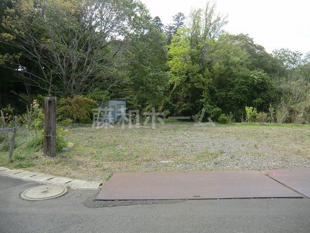 Local land photo. Local (April 2013) Shooting