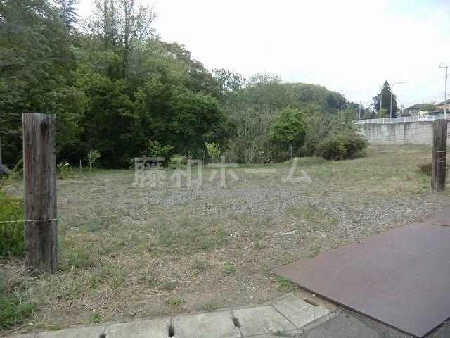 Local land photo. Local (April 2013) Shooting