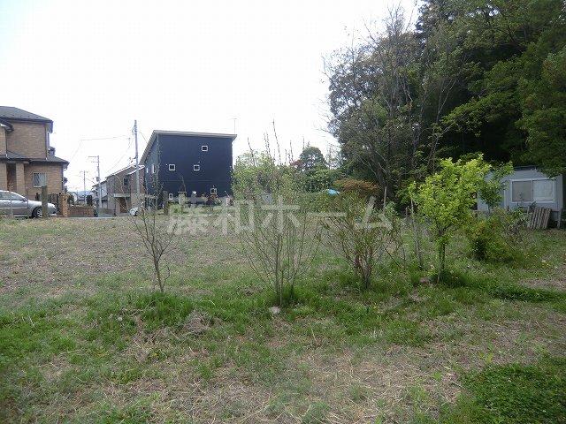 Local land photo. Local (April 2013) Shooting