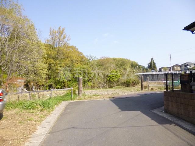 Local photos, including front road. Local (April 2013) Shooting