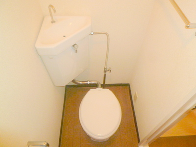 Toilet. It comes with a towel hanging!