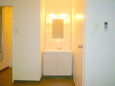 Washroom. Washstand usability is good!