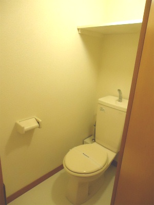 Toilet. This is useful if there is also cleaning a breeze shelf simple!