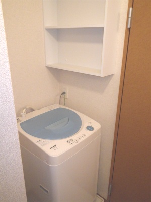 Other. With washing machine! 