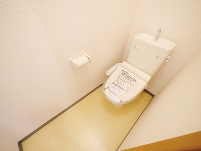 Toilet. Warm water washing toilet seat