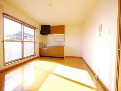 Other room space. Facing south in a bright room