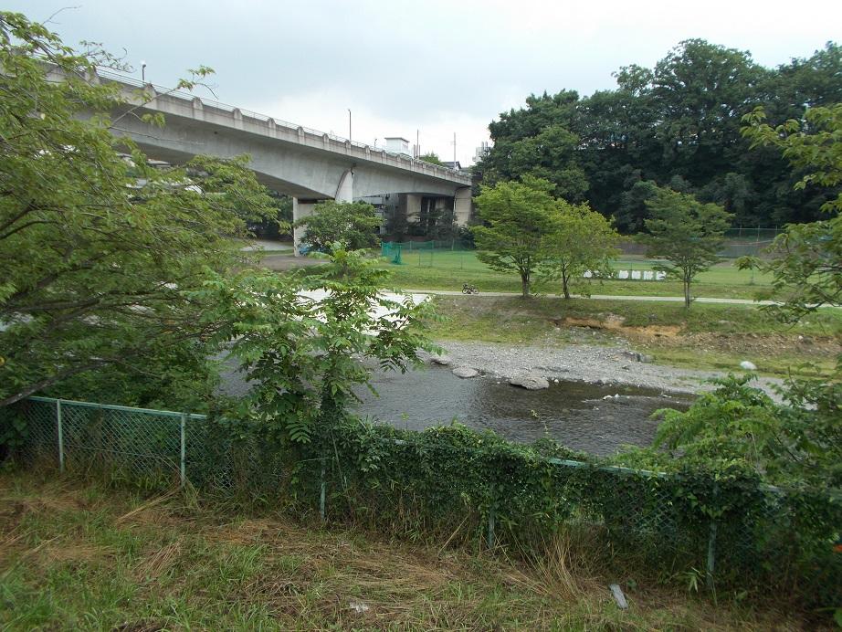 Other. 1-minute walk of the clear stream Nagri River
