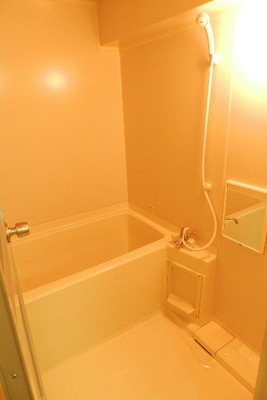 Bath. Remote-control add 焚式 bus