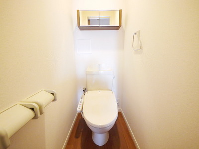 Toilet. Warm water washing toilet seat