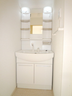 Washroom. Shampoo dresser