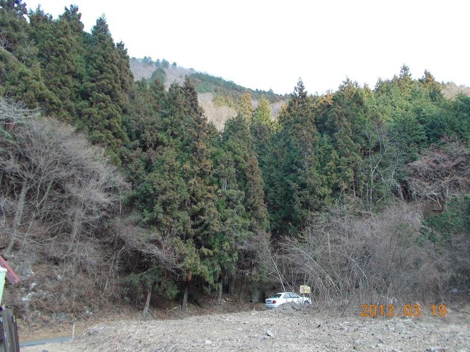 View photos from the local. View from local (March 2013) Shooting