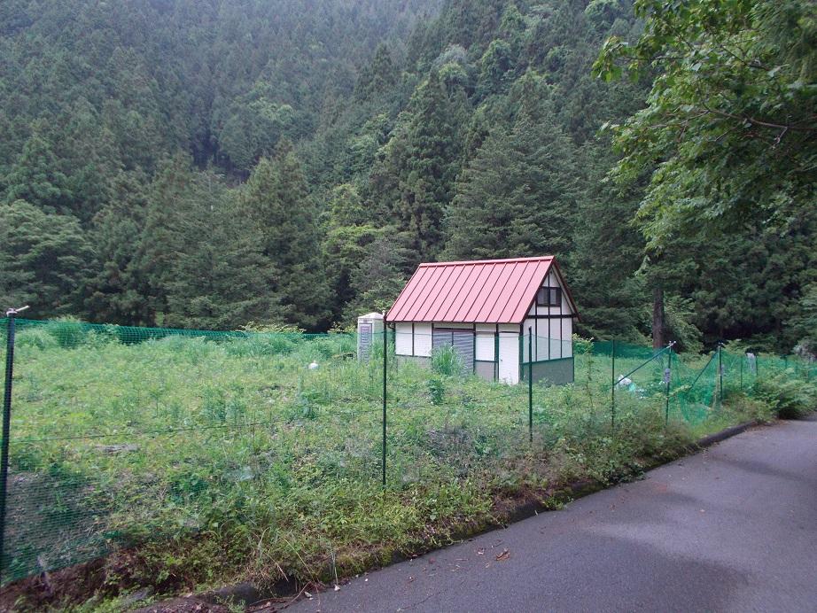 Local photos, including front road. Hut site (June 2013) Shooting