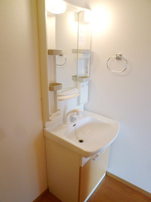 Washroom. Shampoo wash basin