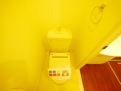 Toilet. Toilet with cleanliness