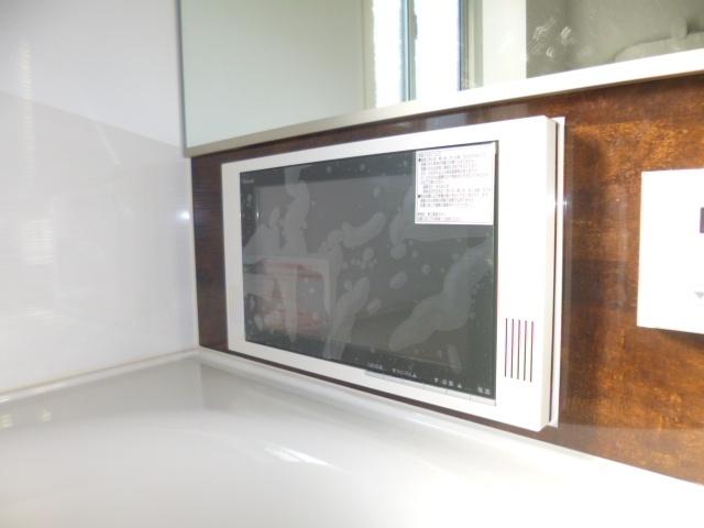 Bathroom. Bathroom TV