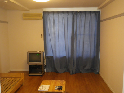 Other. Also it comes with a curtain! 