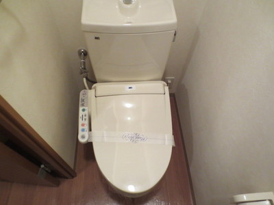Toilet. Bidet