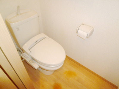 Toilet. Warm water washing toilet seat