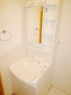 Washroom. Washbasin with shower