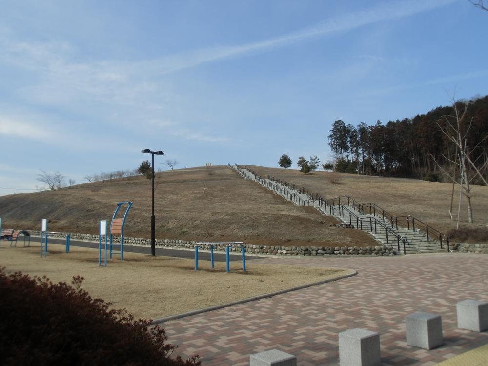 Other. Neighborhood park