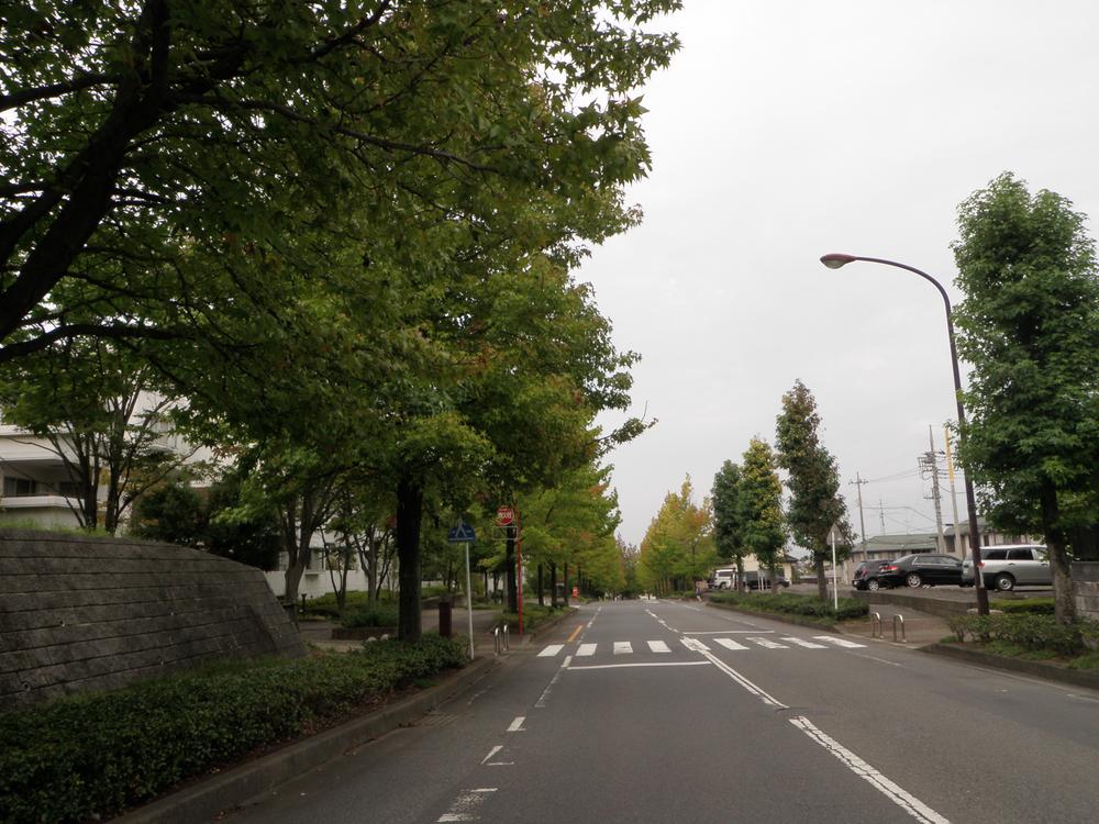 Other Environmental Photo. Around street