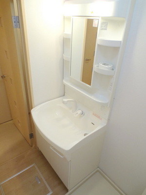 Washroom. Washbasin with shower