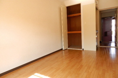 Living and room. closet