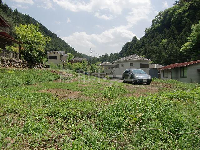 Local land photo. Local (May 2012) shooting