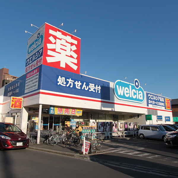 Dorakkusutoa. Uerushia pharmacy Hanno Yanagimachi shop 850m until (drugstore)