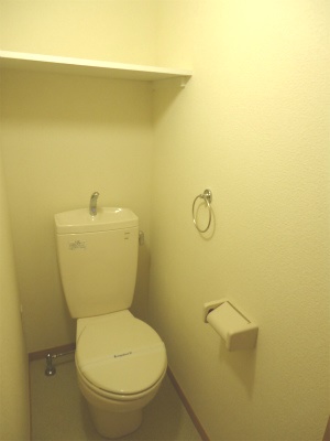 Toilet. Your toilet is also refreshing specification