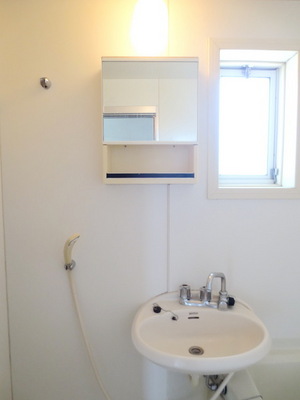 Washroom. Wash basin