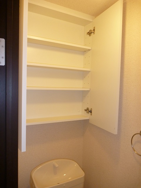 Toilet. Toilet is also abundant storage