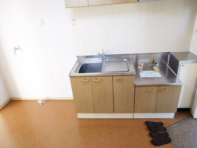 Kitchen. Sink left side is the washing machine Storage.