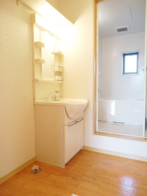 Washroom. Bathroom vanity