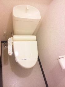 Toilet. Warm water washing toilet seat