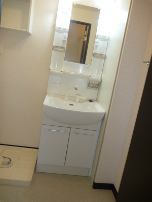 Washroom. Separate vanity is glad items