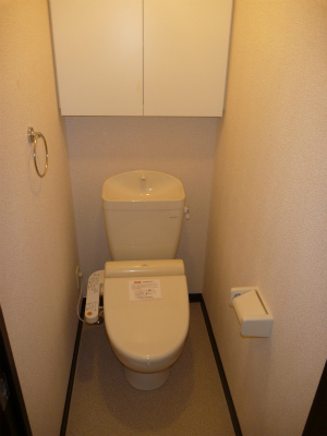 Toilet. Shower toilet is now must-haves! ?