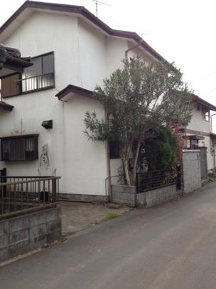 Local land photo. Appearance (1)