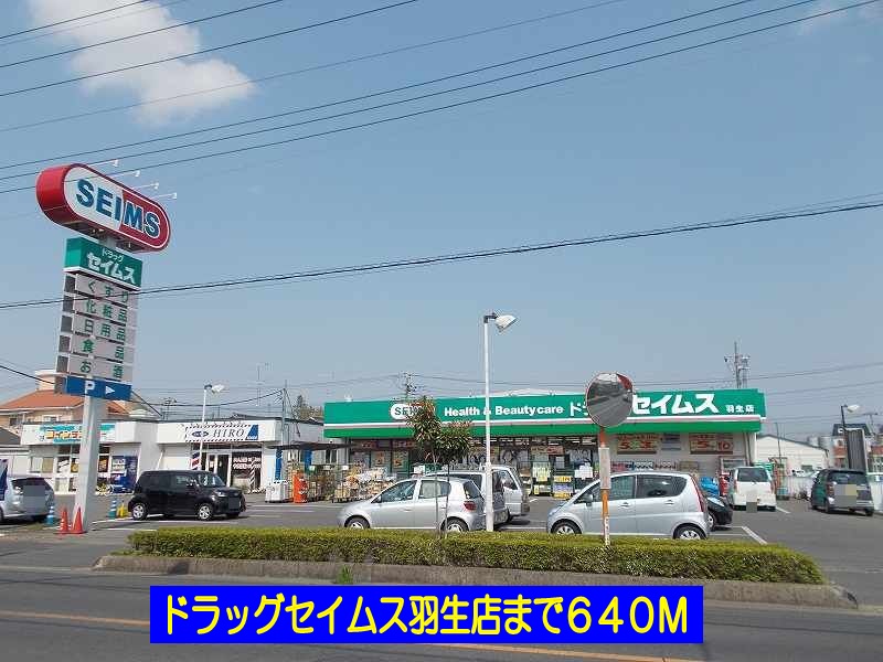 Dorakkusutoa. Drag Seimusu Hanyu shop 640m until (drugstore)