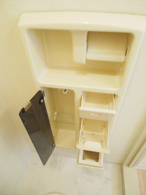 Toilet. With storage