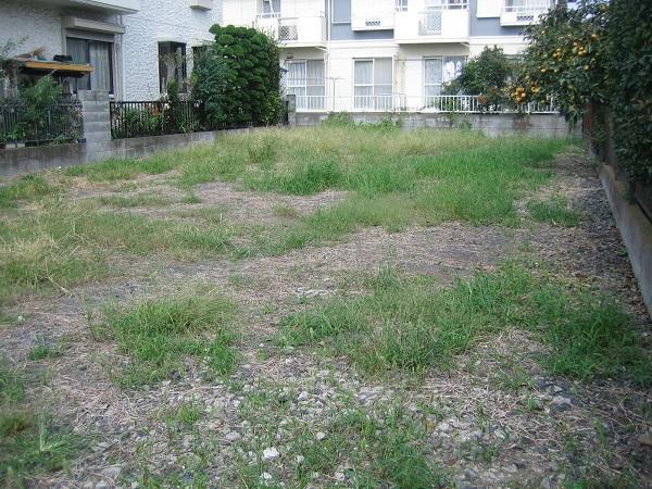 Local photos, including front road