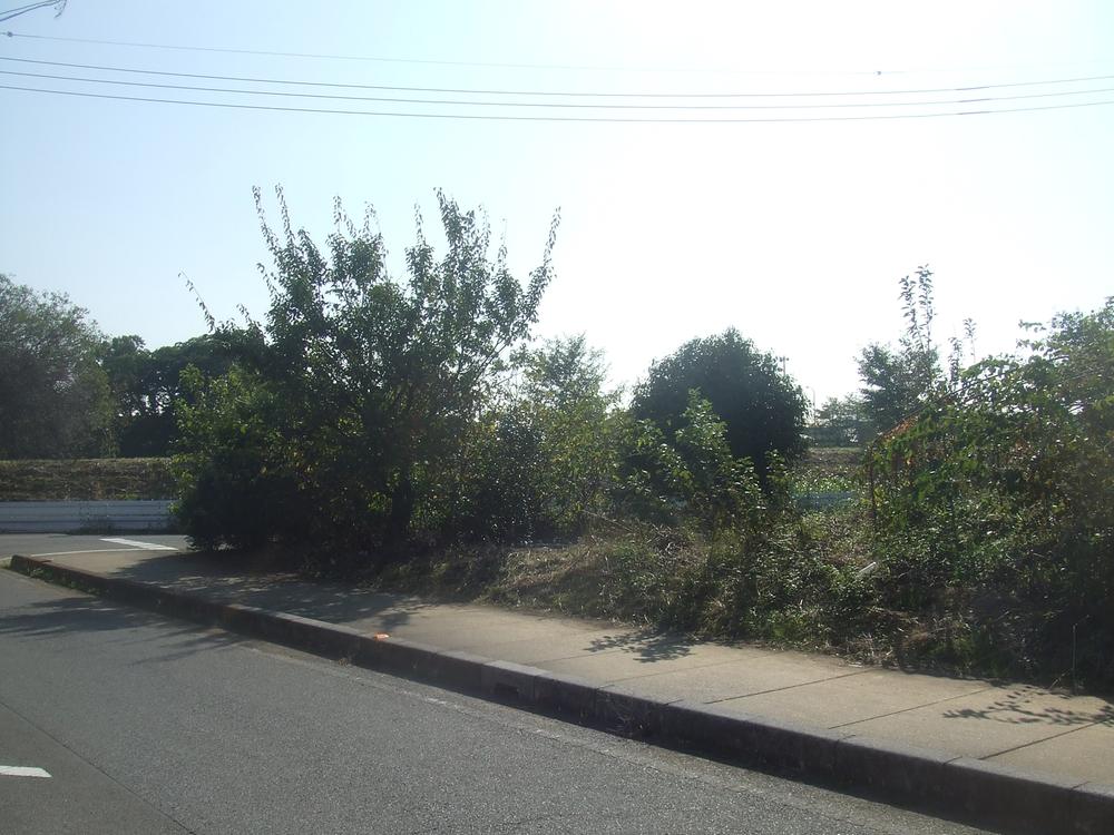 Local photos, including front road