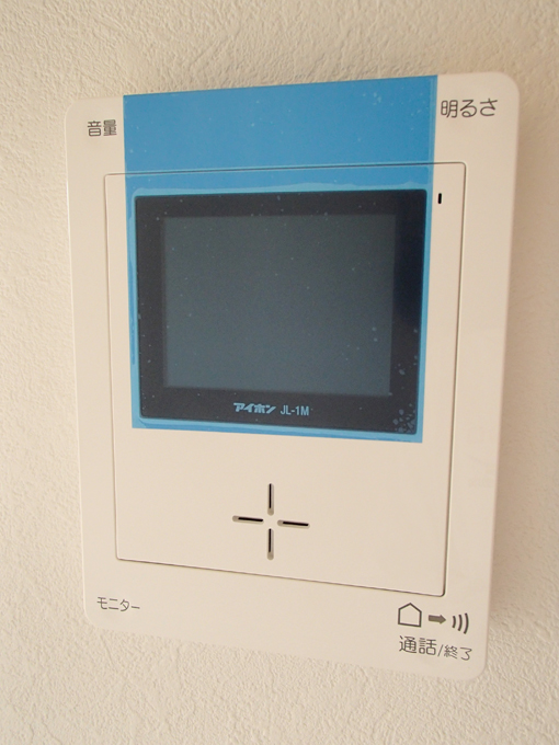 Security. Intercom with TV monitor