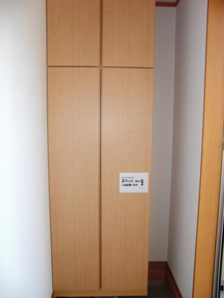 Receipt. Footwear input