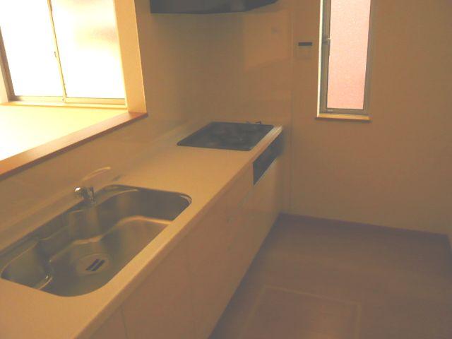 Kitchen. Face-to-face Kitchiin