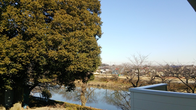 Entrance. View from the entrance